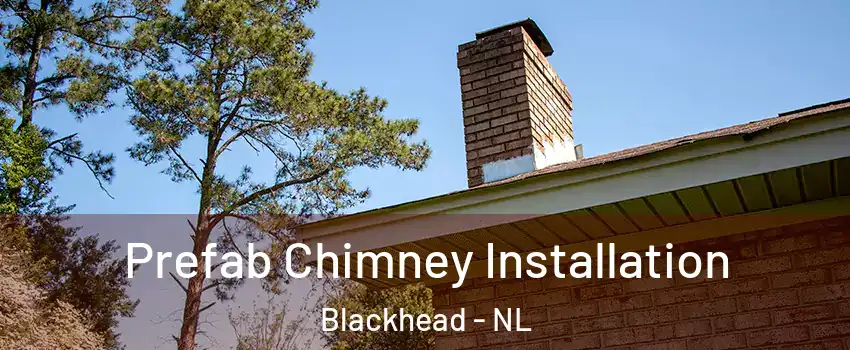  Prefab Chimney Installation Blackhead - NL