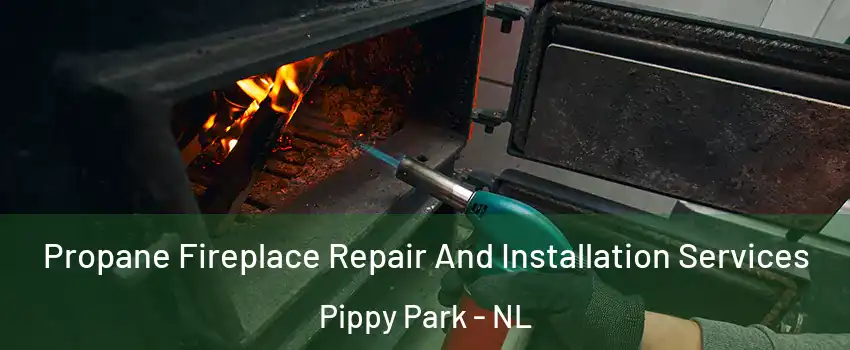Propane Fireplace Repair And Installation Services Pippy Park - NL