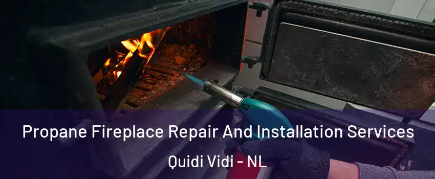 Propane Fireplace Repair And Installation Services Quidi Vidi - NL