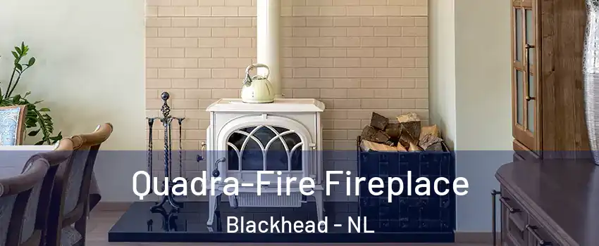  Quadra-Fire Fireplace Blackhead - NL