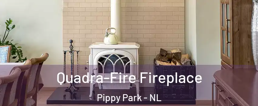  Quadra-Fire Fireplace Pippy Park - NL