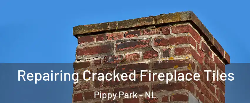  Repairing Cracked Fireplace Tiles Pippy Park - NL