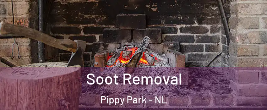  Soot Removal Pippy Park - NL