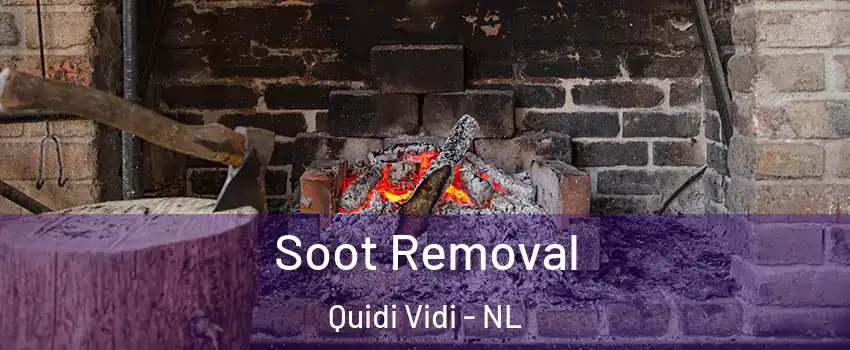  Soot Removal Quidi Vidi - NL