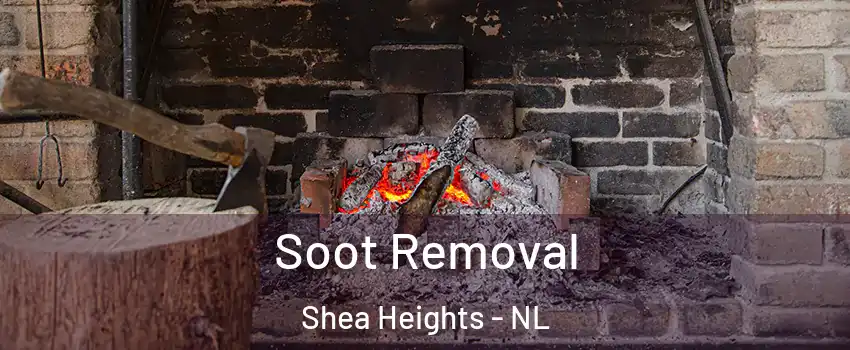  Soot Removal Shea Heights - NL