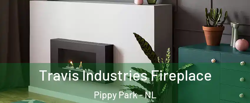  Travis Industries Fireplace Pippy Park - NL