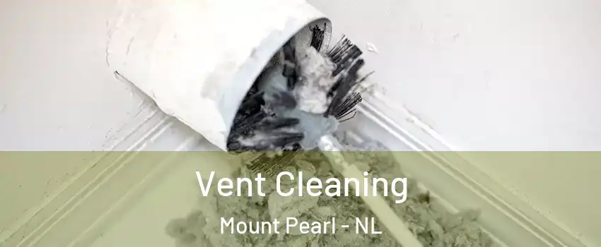  Vent Cleaning Mount Pearl - NL