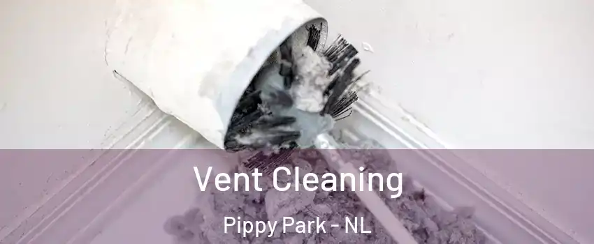  Vent Cleaning Pippy Park - NL