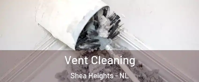  Vent Cleaning Shea Heights - NL