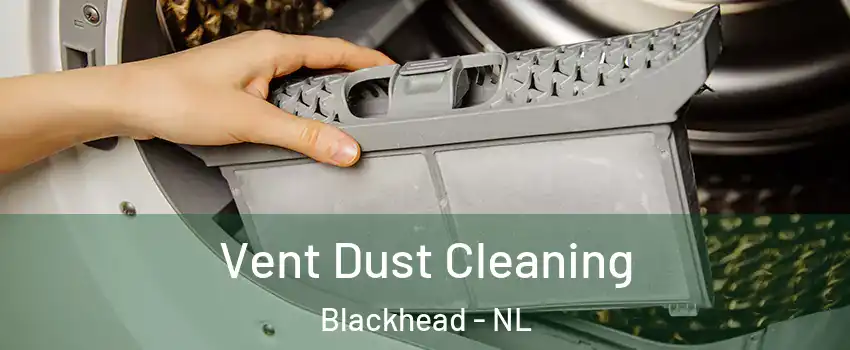  Vent Dust Cleaning Blackhead - NL