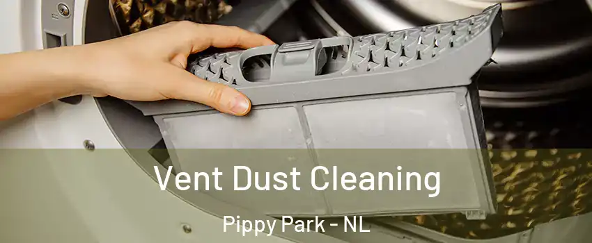  Vent Dust Cleaning Pippy Park - NL