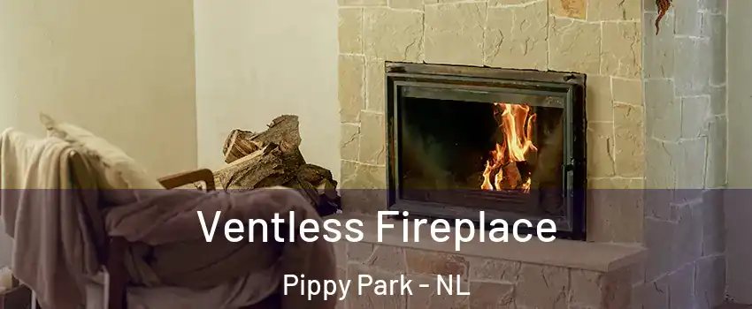  Ventless Fireplace Pippy Park - NL