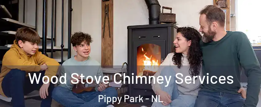  Wood Stove Chimney Services Pippy Park - NL