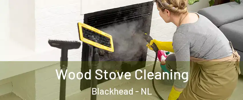  Wood Stove Cleaning Blackhead - NL
