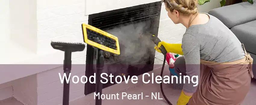  Wood Stove Cleaning Mount Pearl - NL