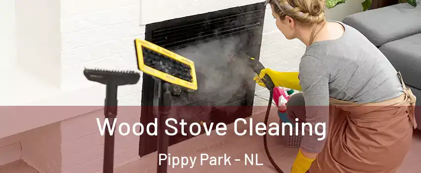  Wood Stove Cleaning Pippy Park - NL